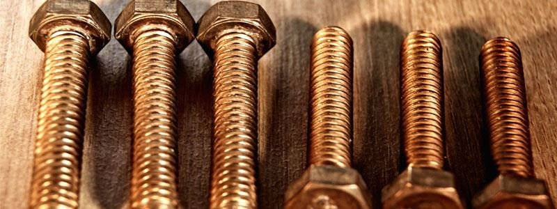 Silicon Bronze Fasteners Manufacturer in India