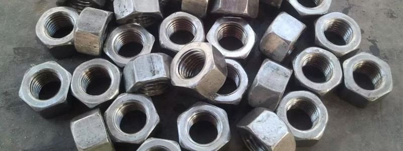 Nuts Manufacturer in India